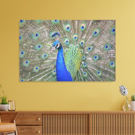 Gorgeous Peacock Leinwanddruck (Insitu (Wohnzimmer))