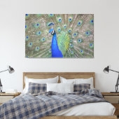 Gorgeous Peacock Leinwanddruck (Insitu (Schlafzimmer))