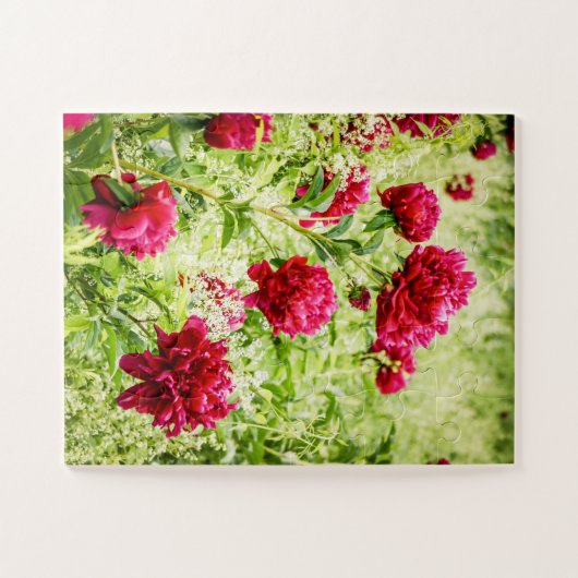 Gorgeous Peony Blume oversifiziert Puzzle (Horizontal)