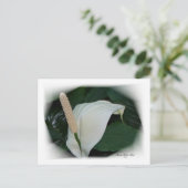 Gorgeous Petals 12 Postkarte (Stehend Vorderseite)