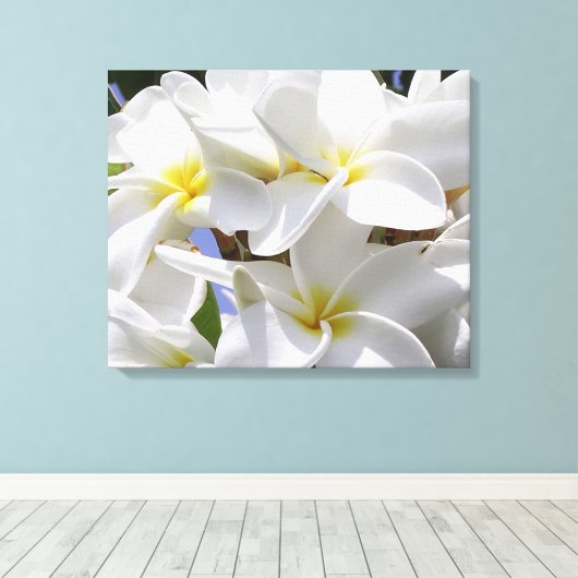 Gorgeous Plumeria Wrapped Canvas Leinwanddruck (Insitu (Holzboden))