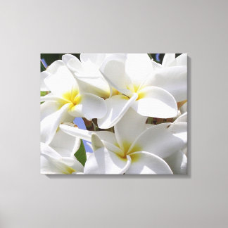 Gorgeous Plumeria Wrapped Canvas Leinwanddruck