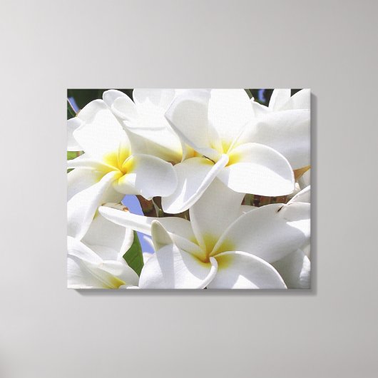 Gorgeous Plumeria Wrapped Canvas Leinwanddruck (Vorderseite)