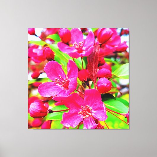 Gorgeous Red Barron Crabapple Foto Leinwanddruck (Vorderseite)
