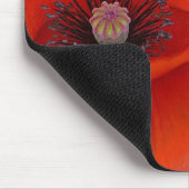 Gorgeous Red Poppy Mousepad (Ecke)