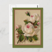 Gorgeous Redoute White Roses Postkarte (Vorne/Hinten)