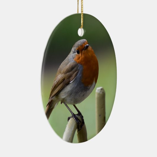 Gorgeous Robin Keramik Ornament (Rechts)