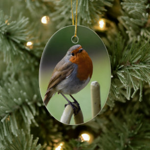 Gorgeous Robin Keramik Ornament