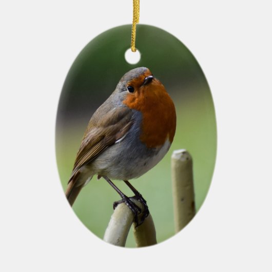 Gorgeous Robin Keramik Ornament (Vorne)