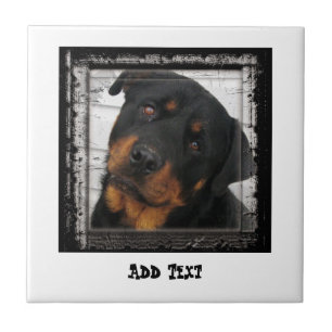 Gorgeous Rottweiler Dog personalisiert Fliese