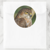 Gorgeous Sharp-Shinned Hawk kommt A-Callin' Runder Aufkleber (Tasche)