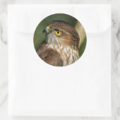 Gorgeous Sharp-Shinned Hawk kommt A-Callin' Runder Aufkleber (Tasche)