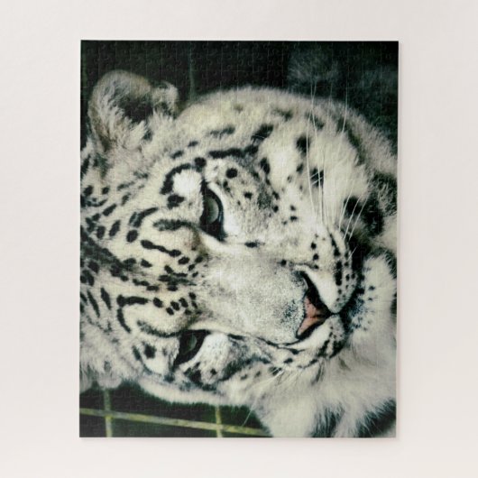 Gorgeous Snow Leopard Puzzle (Vertikal)