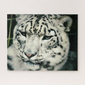 Gorgeous Snow Leopard Puzzle (Horizontal)
