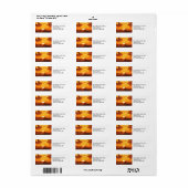 Gorgeous Sunset (Vorne)