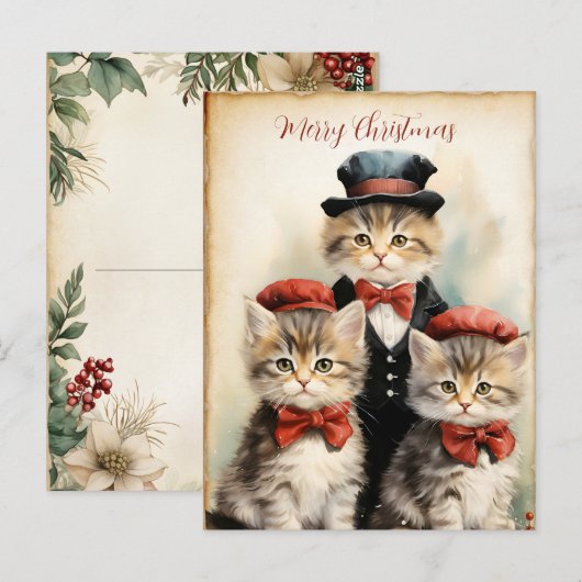 Gorgeous Three Kitten Family Christmas Postkarte (Vorne/Hinten)