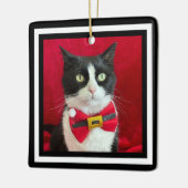 Gorgeous Tuxedo Cat Christmas Ornament (Links)