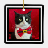 Gorgeous Tuxedo Cat Christmas Ornament (Rückseite)