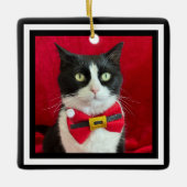 Gorgeous Tuxedo Cat Christmas Ornament  (Vorderseite)