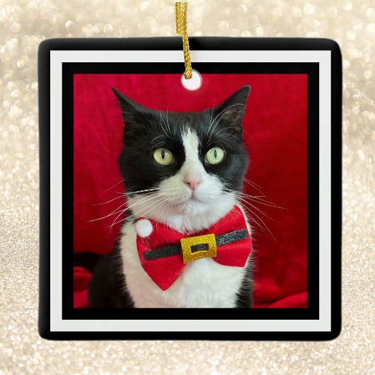 Gorgeous Tuxedo Cat Christmas Ornament 