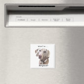 Gorgeous Weimaraner Magnet (In Situ (Geschirrspüler))