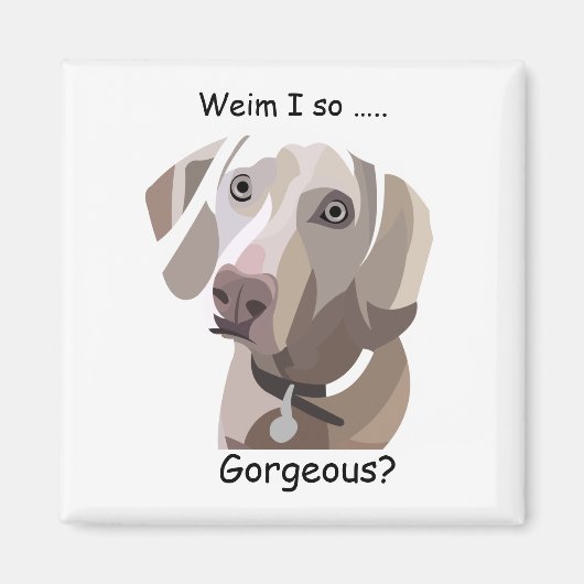 Gorgeous Weimaraner Magnet (Vorne)