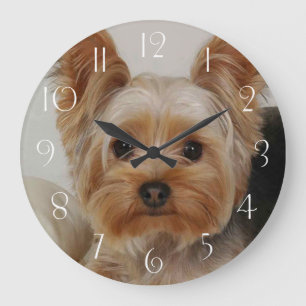Gorgeous Yorkshire Terrier Große Wanduhr