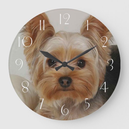 Gorgeous Yorkshire Terrier Große Wanduhr (Vorderseite)