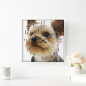 Gorgeous Yorkshire Terrier Quadratische Wanduhr (Zuhause)