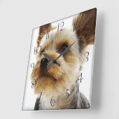 Gorgeous Yorkshire Terrier Quadratische Wanduhr (Winkel)
