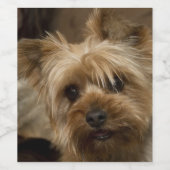 Gorgeous Yorkshire Terrier Weinetikett (Einzelnes Label)