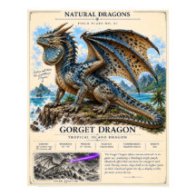 Gorget-Drachen-Feldplatte