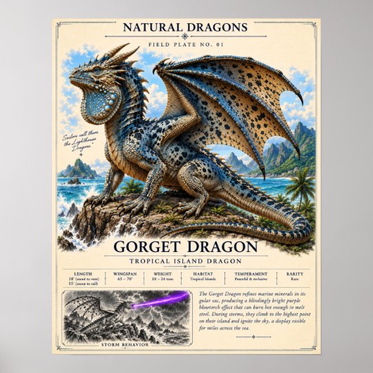 Gorget-Drachen-Feldplatte Poster (Vorne)
