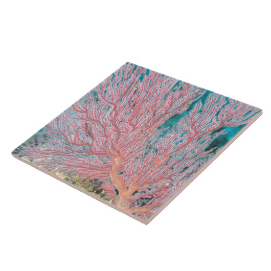 Gorgonian Koralle 3 Fliese (Seite)