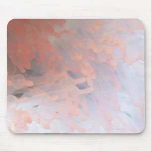 Gorgonian Koralle 4 Mousepad