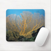 Gorgonian Koralle Mousepad (Mit Mouse)