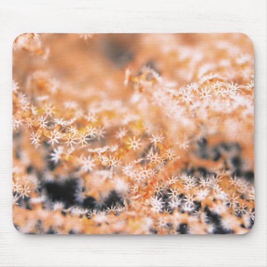 Gorgonische Koralle 2 Mousepad (Vorne)