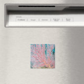 Gorgonische Koralle 3 Magnet (In Situ (Geschirrspüler))