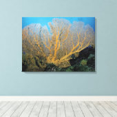 Gorgonische Koralle Leinwanddruck (Insitu (Holzboden))