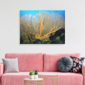 Gorgonische Koralle Leinwanddruck (Insitu (Wohnzimmer))