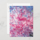 Gorgonische Koralle Postkarte (Vorne/Hinten)
