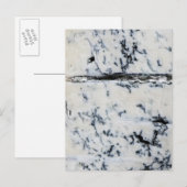 Gorgonzola Cheese Postkarte (Vorne/Hinten)