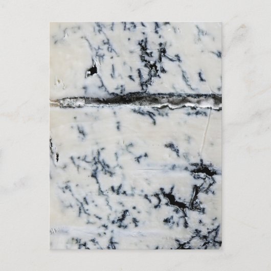 Gorgonzola Cheese Postkarte (Vorderseite)