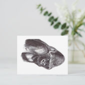 GORILA POSTKARTE (Stehend Vorderseite)