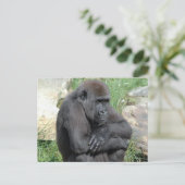 Gorila Sitting Postcard Postkarte (Stehend Vorderseite)