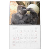 Gorilla_004, Gorilla Kalender (Feb 2027)