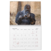 Gorilla_004, Gorilla Kalender (Jan 2027)