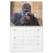 Gorilla_004, Gorilla Kalender (Mär 2026)