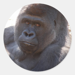 Gorilla_004 Runder Aufkleber