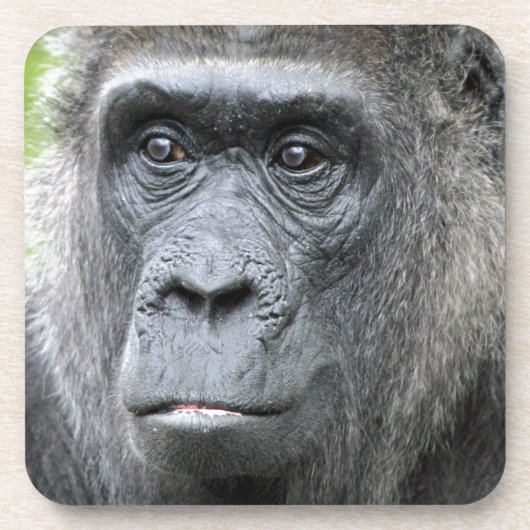 Gorilla 004 untersetzer (Vorderseite)
